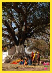 Pilgrims from Nepal, Maha Kumbh 2013
